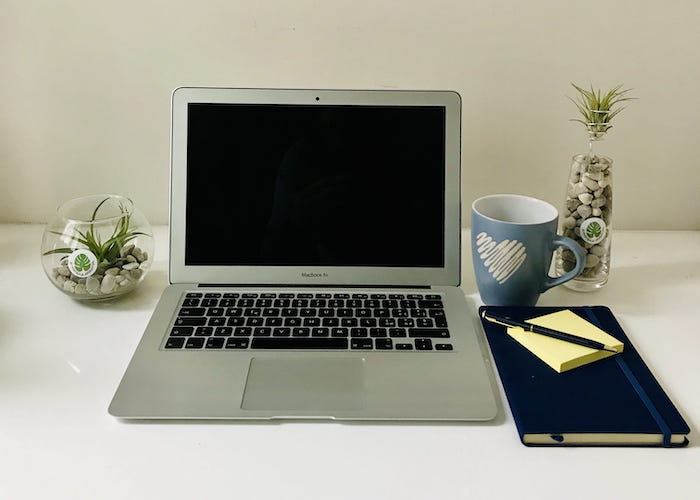 Ridurre lo stress da ufficio con le piante