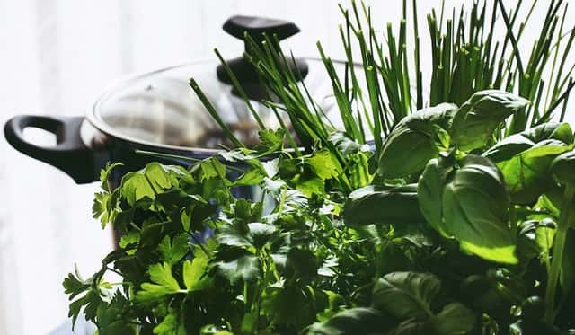 Piante aromatiche