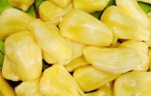 Jackfruit