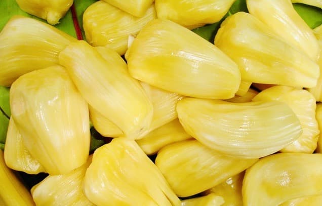 Jackfruit