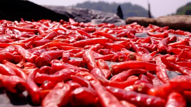 Peperoncino