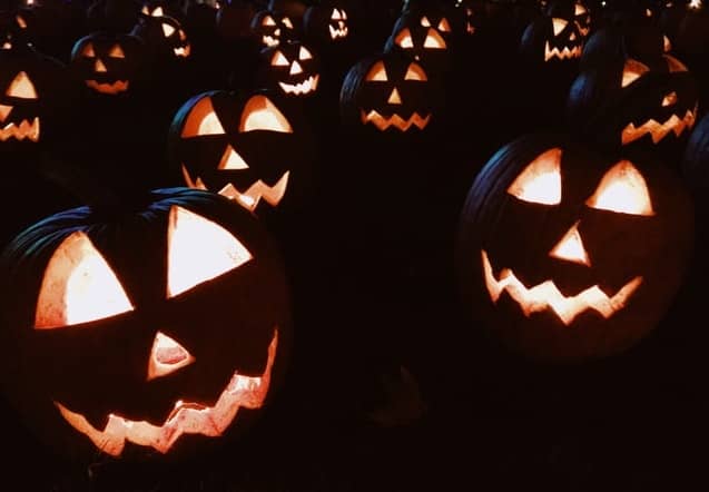Zucca Halloween