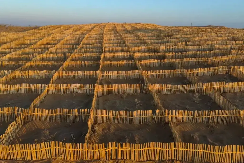 barriera di bamboo in cina per deserto