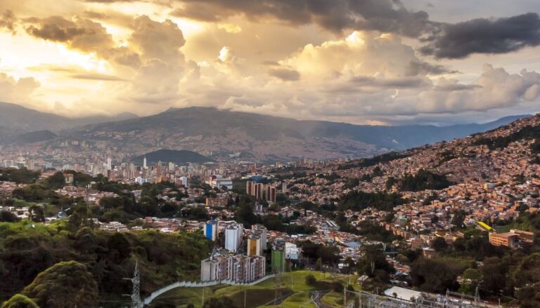 medellin colombia e alberi piantati