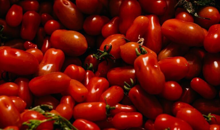 pomodori datterini
